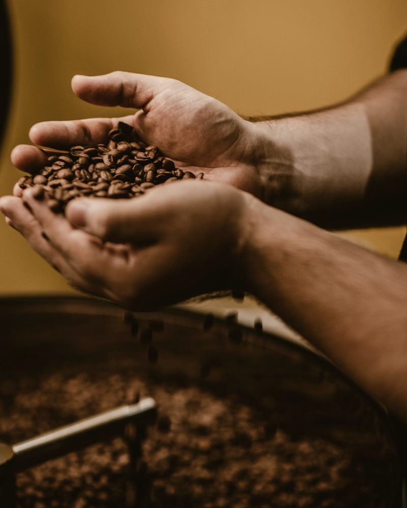 Cupped hands holding roasted beans above the roaster's cooling tray against a warm yellow wall