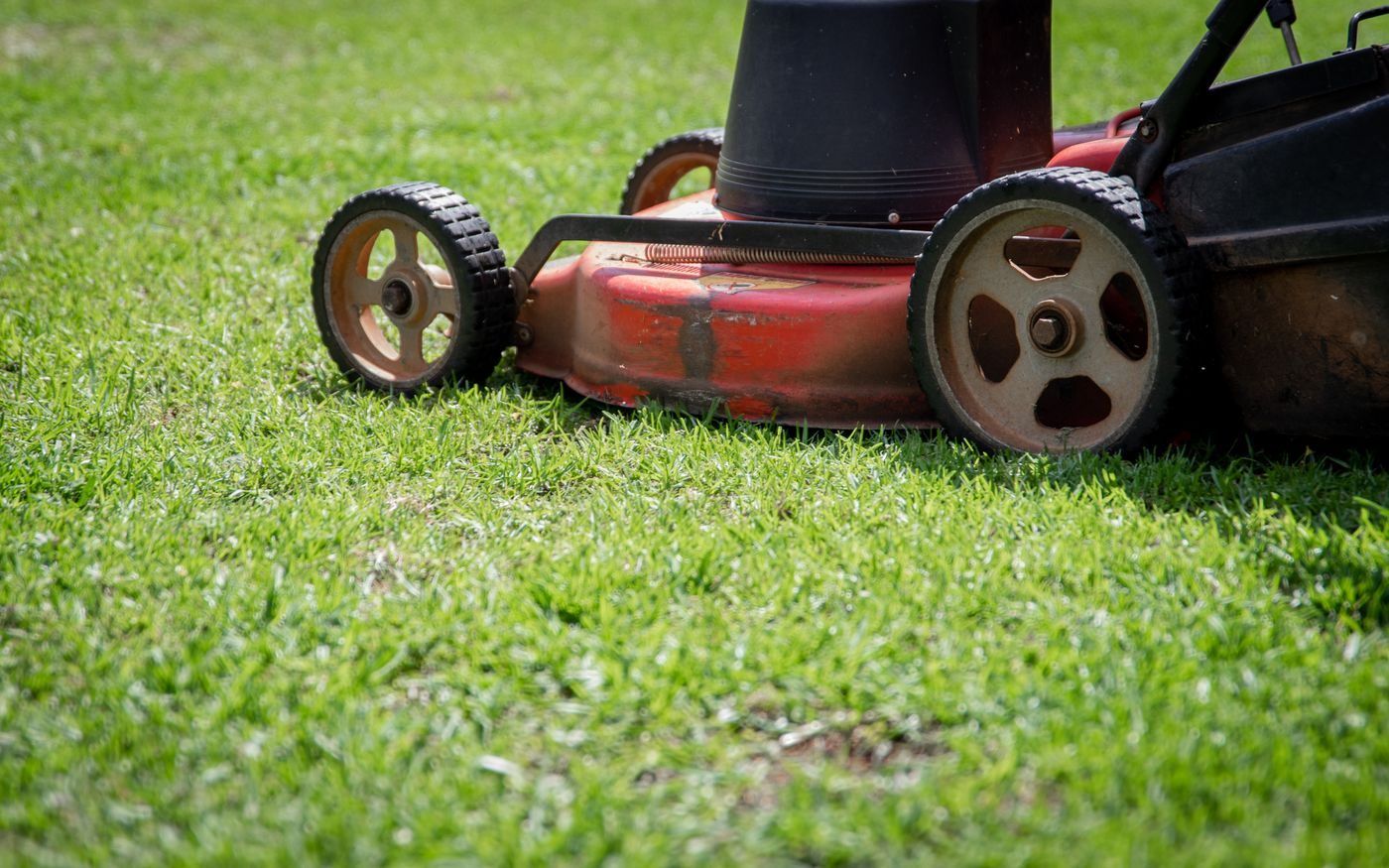 A mower cutting a strip through thick green grass