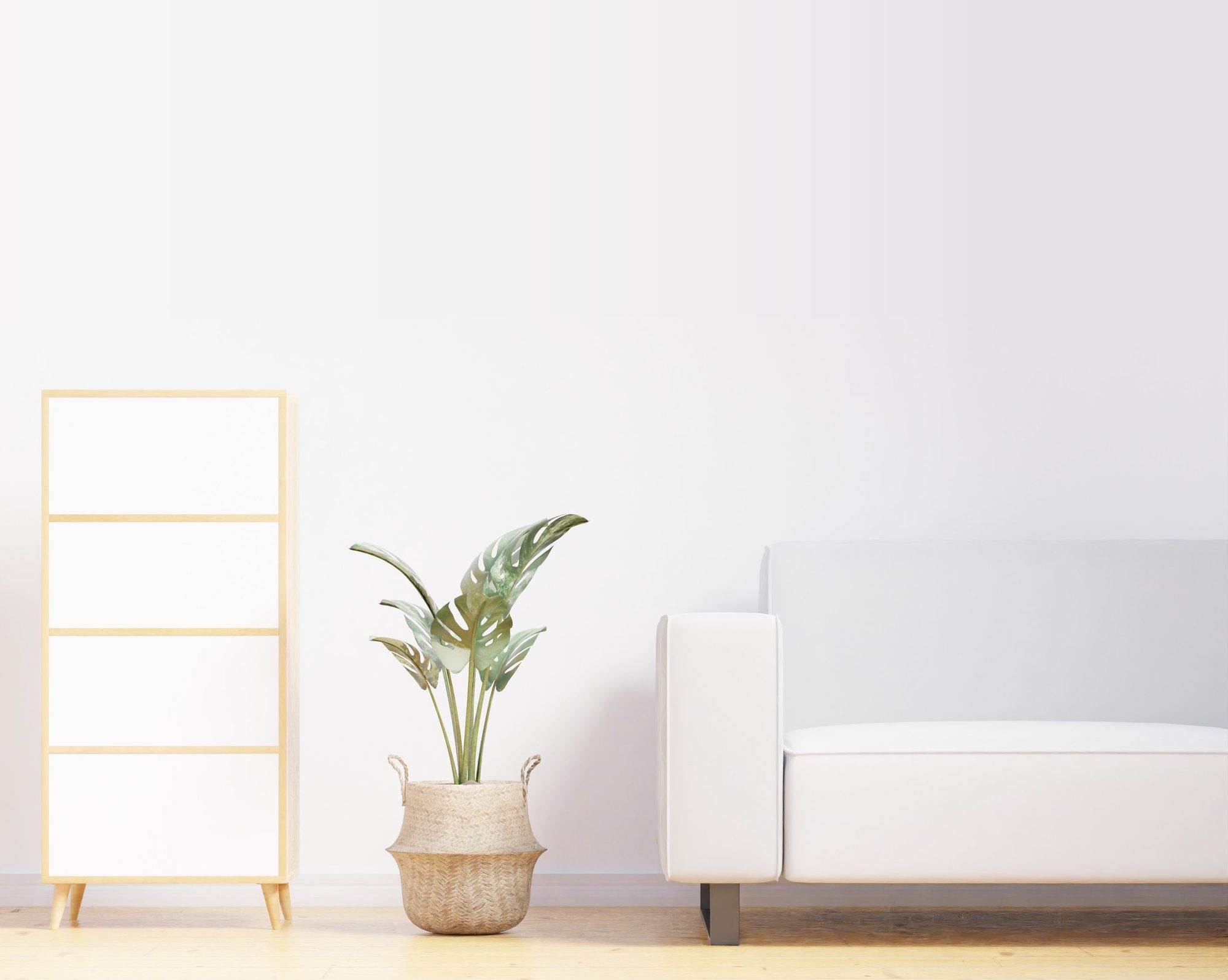 A bright, airy room with a fresh white wall, a soft white sofa, a leafy plant in a woven basket and a light wood cabinet on a pale wood floor