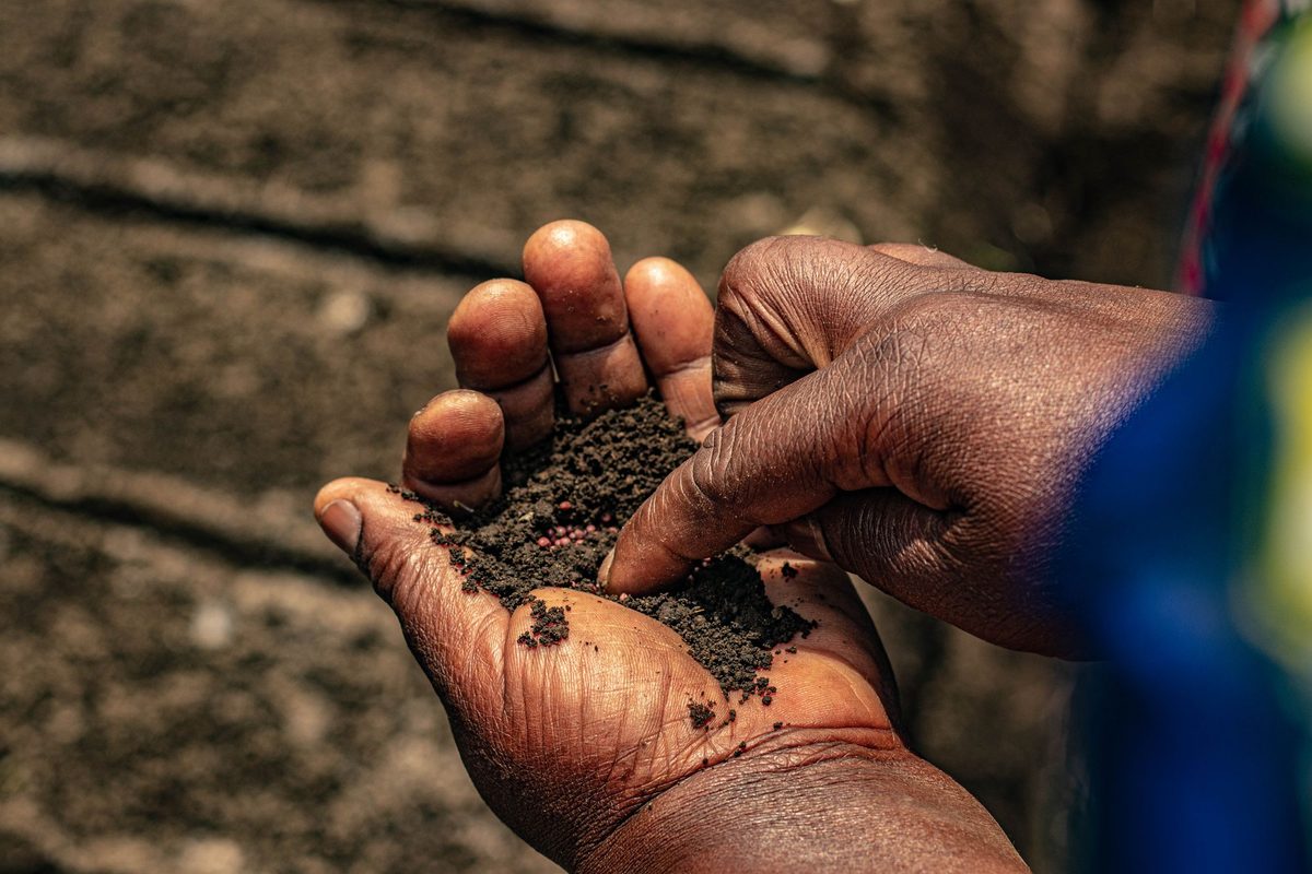 A hand holding a scoop of dark, crumbly soil